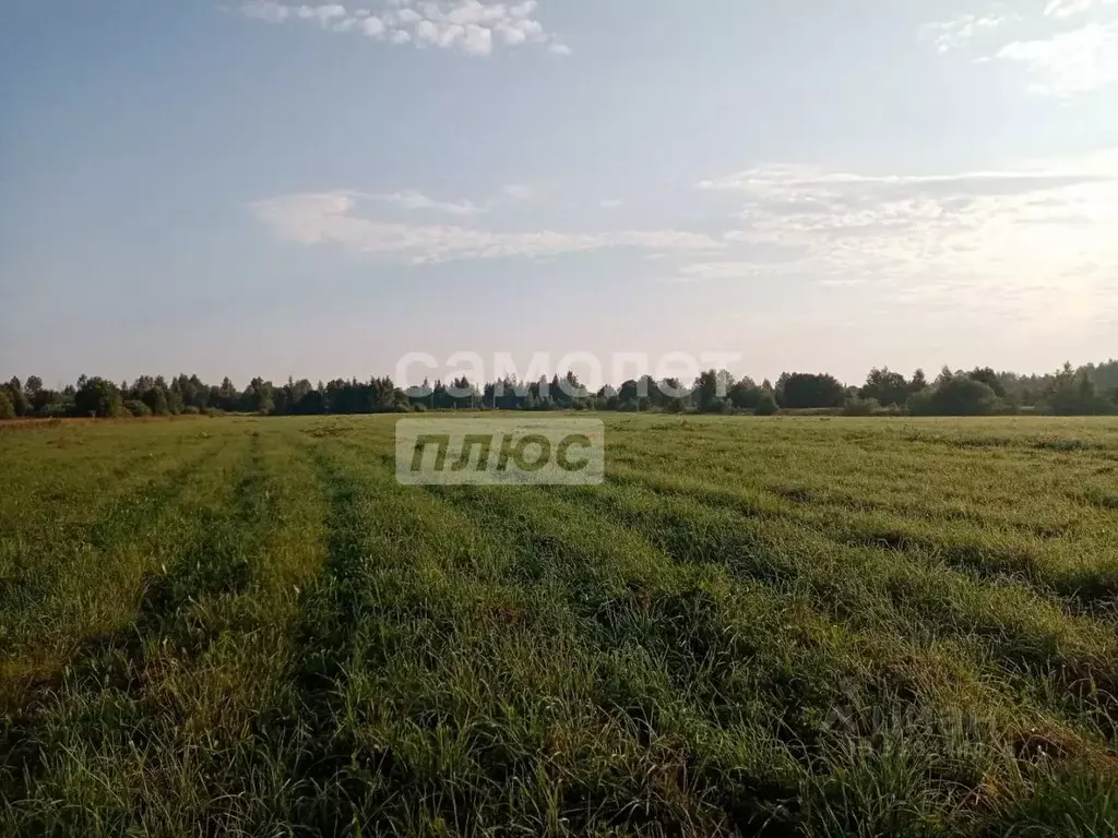 Участок в Ярославская область, Пошехонский муниципальный округ, ... - Фото 1