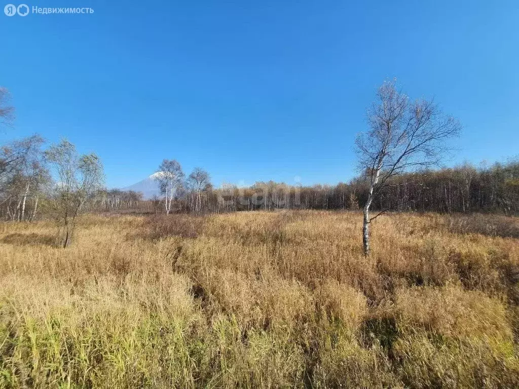 Участок в Елизово, А-401, 29-й километр (110 м) - Фото 1