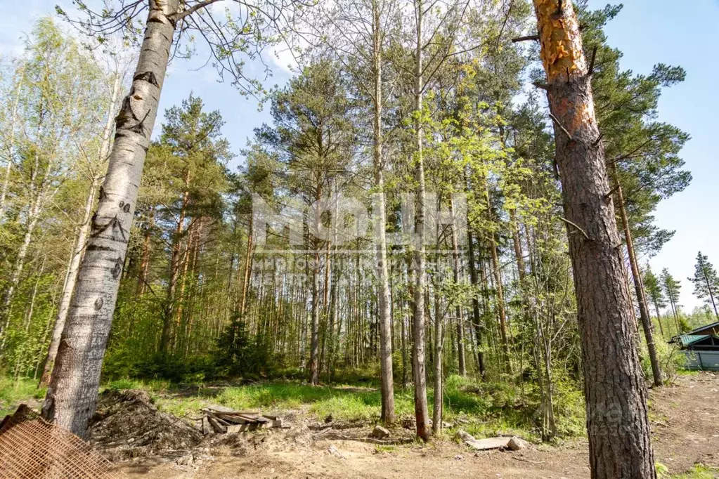 Участок в Карелия, Петрозаводск ул. Сулажгорского Кирпичного Завода ... - Фото 0