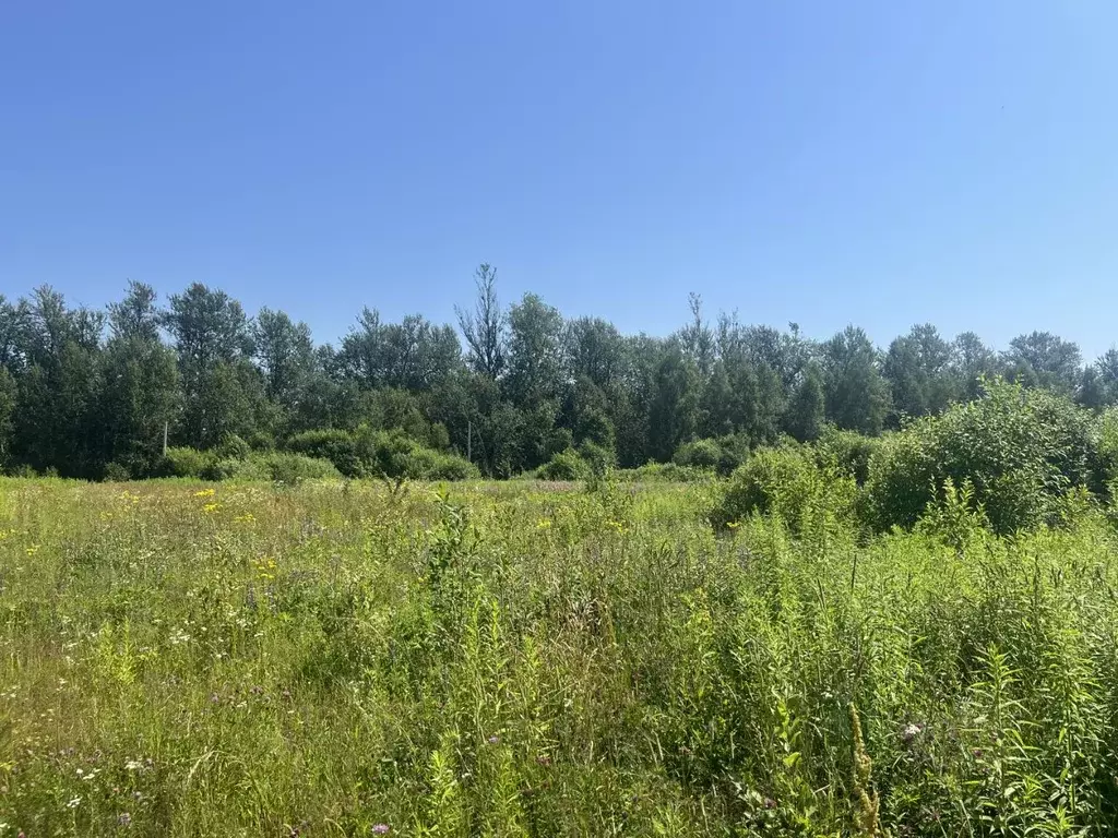 Участок в Смоленская область, Смоленск Славутич СНТ, 1378 (12.5 сот.) - Фото 1