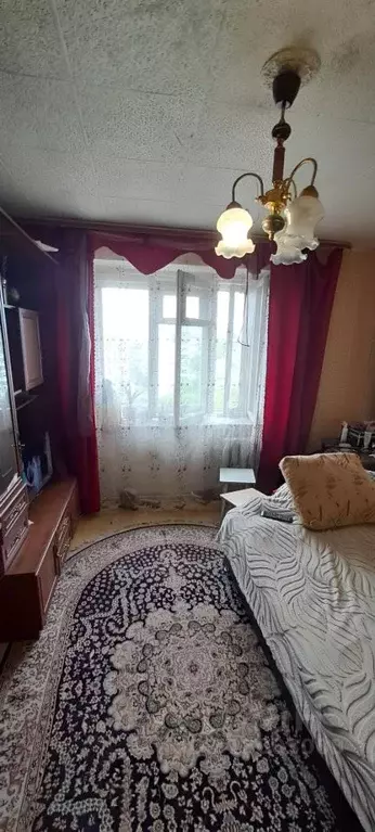 Комната Новосибирская область, Новосибирск ул. Энгельса, 14 (12.7 м) - Фото 1