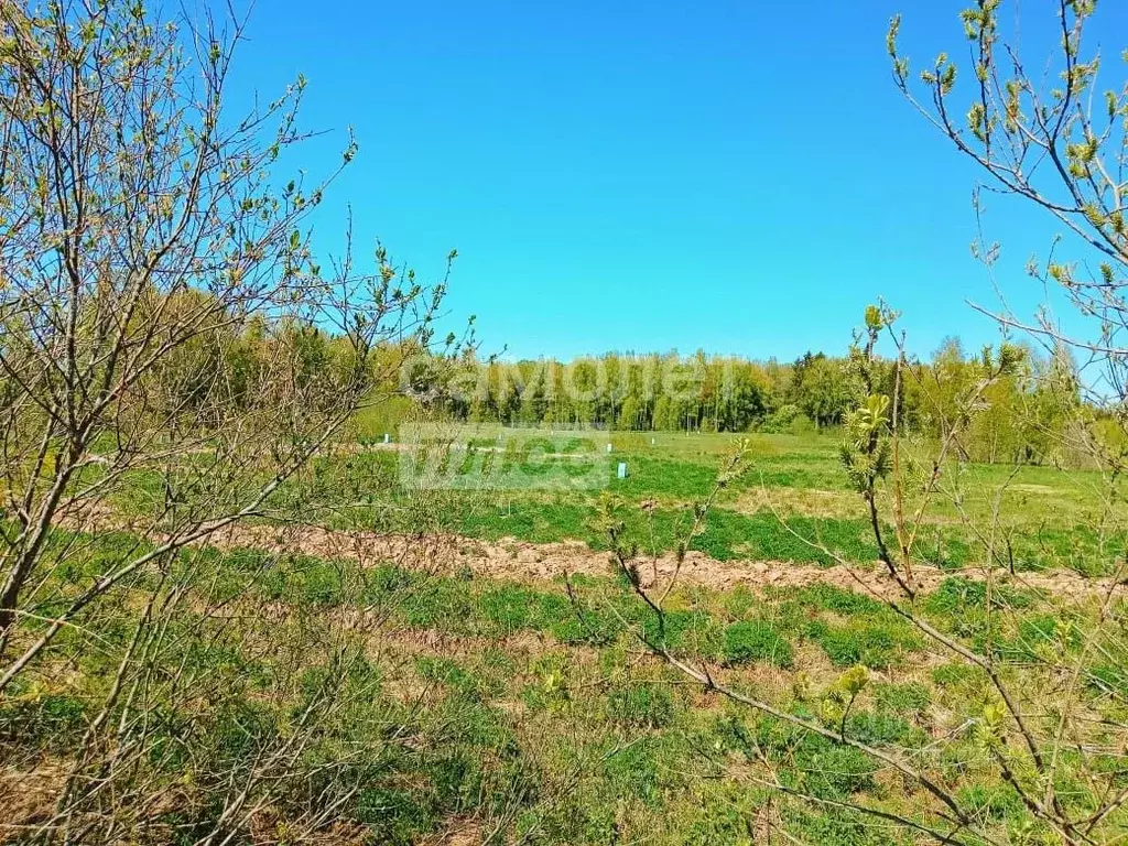 Участок в Московская область, Солнечногорск городской округ, д. ... - Фото 1