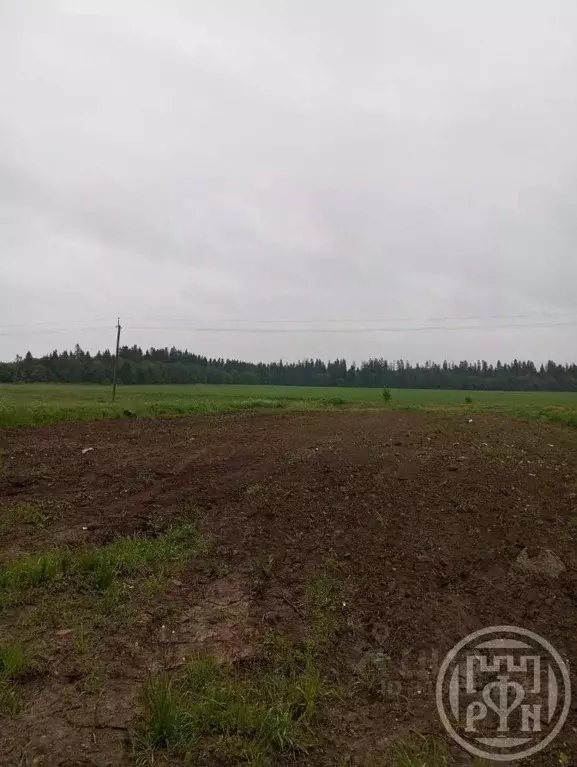 Участок в Ленинградская область, Гатчинский район, д. Малое Ондрово 8 ... - Фото 0