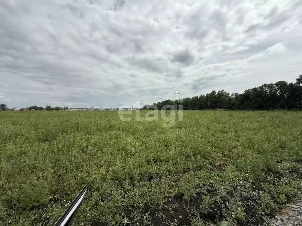 Участок в Мордовия, Лямбирский район, с. Берсеневка  (7.0 сот.) - Фото 1