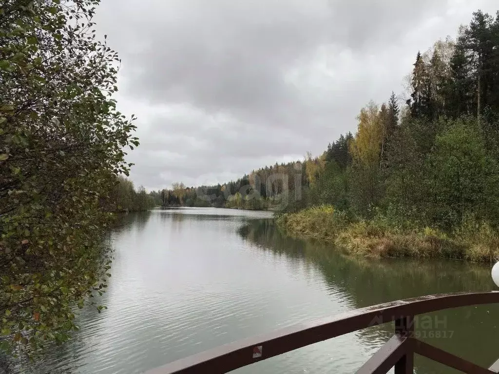 Участок в Владимирская область, Ковровский район, Доброград ... - Фото 2