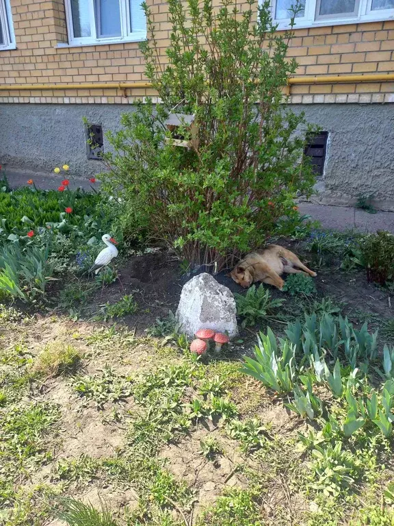 Продаётся 3-к квартира, 62.1 м - Фото 0