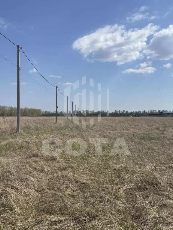 Участок в Воронежская область, с. Новая Усмань ул. Конструкторов, 105 ... - Фото 2