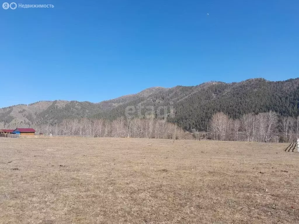Участок в Чемальский район, село Анос (12 м) - Фото 2