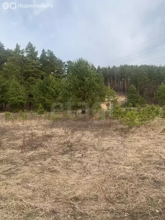 Участок в Волжск, СТ Луговое (6 м) - Фото 0