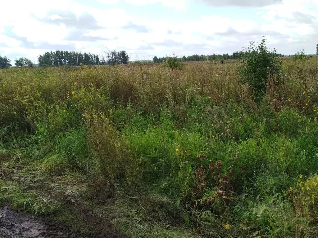 Участок в Омская область, Омский район, Магистральное с/пос, с. ... - Фото 1
