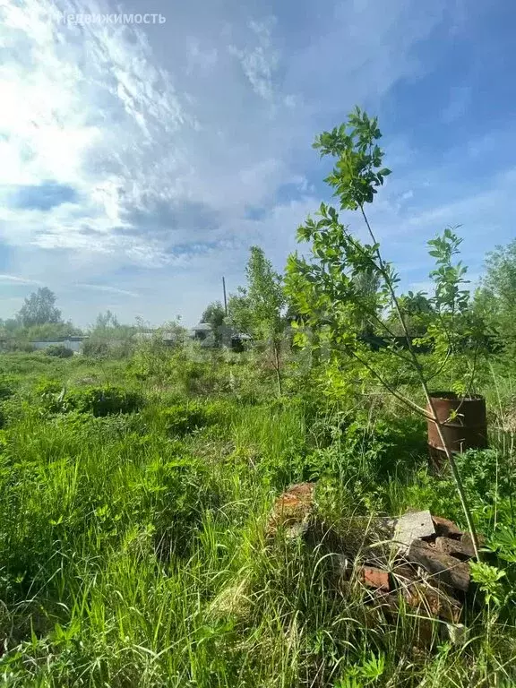 Участок в Костромской район, Бакшеевское сельское поселение, СНТ ... - Фото 0