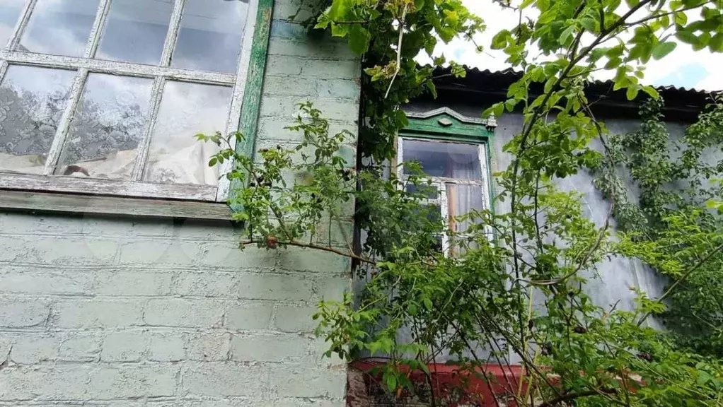 Дом 52,9 м на участке 9,7 сот. - Фото 0