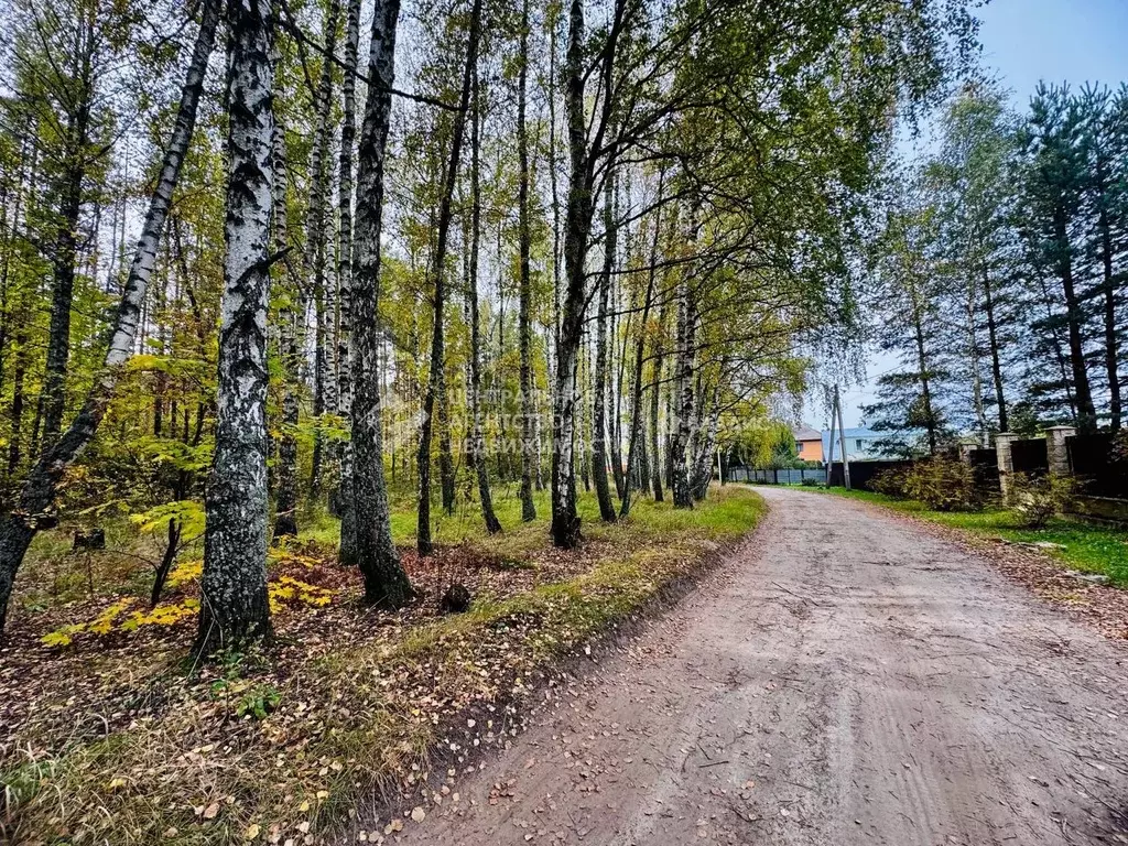 Участок в Рязанская область, Рязанский муниципальный округ, с. Казарь ... - Фото 0