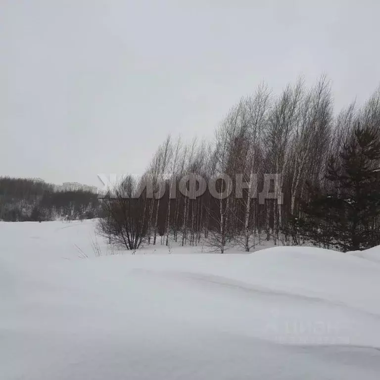 Участок в Кемеровская область, Кемерово Лесная Поляна жилрайон,  (10.0 ... - Фото 1
