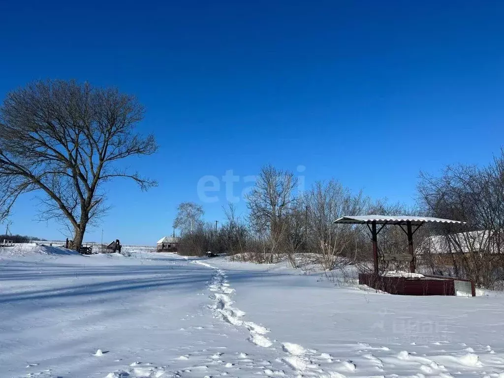 Участок в Белгородская область, Прохоровский муниципальный округ, с. ... - Фото 1