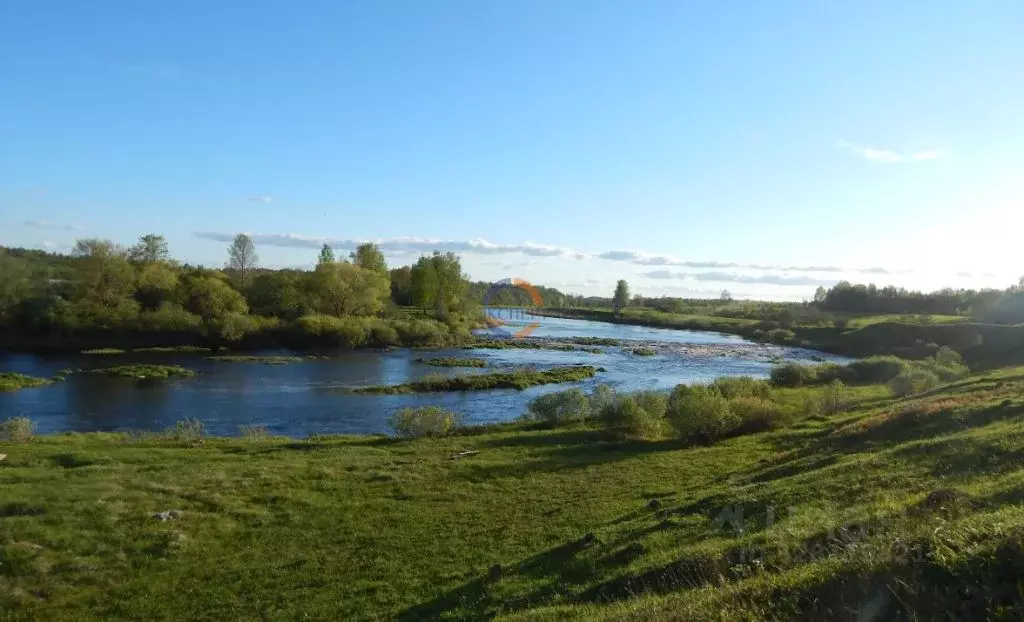 Участок в Новгородская область, Солецкий муниципальный округ, д. ... - Фото 1