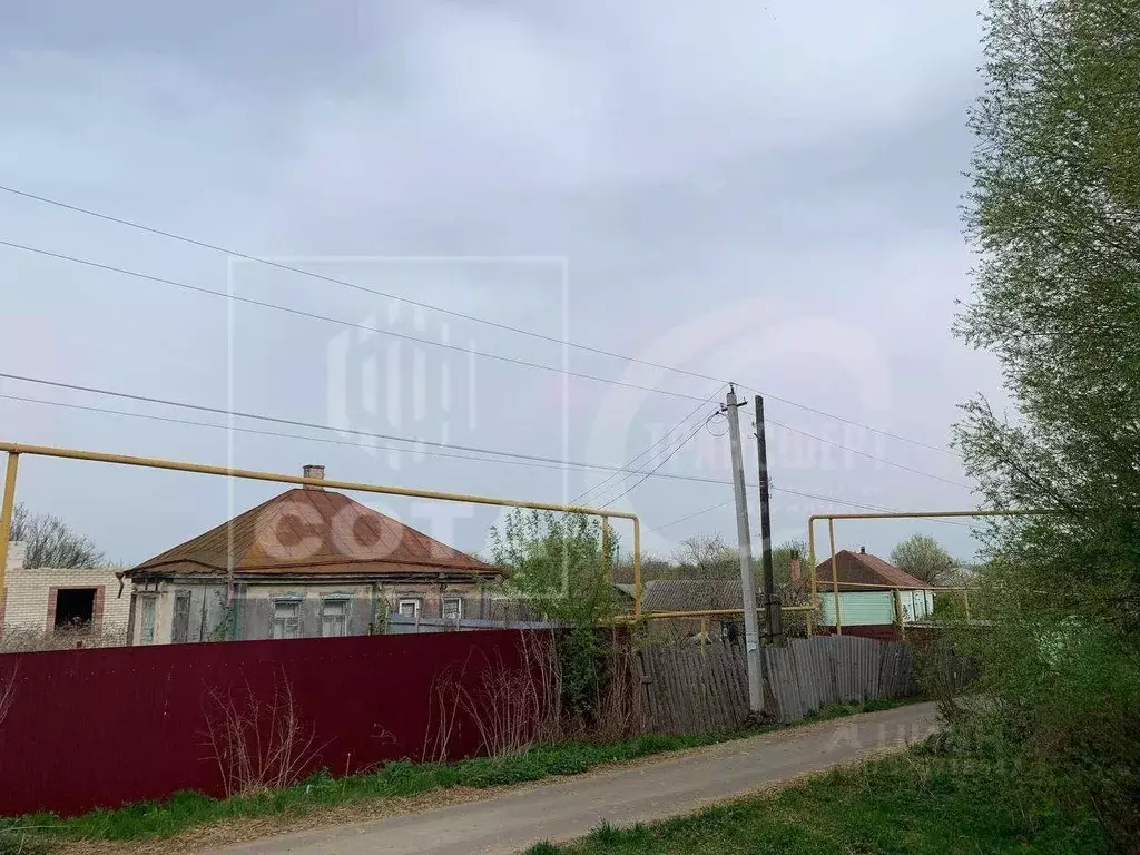 Участок в Воронежская область, Хохольский район, с. Гремячье ул. ... - Фото 1