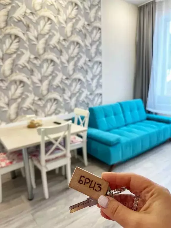 Комната Ленинградская область, Приозерский район, пос. Мичуринское ул. ... - Фото 2