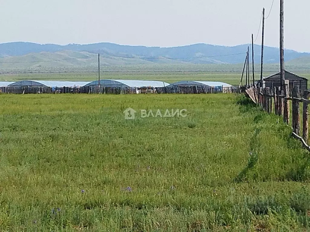 Участок в Бурятия, Иволгинское муниципальное образование, с. Верхняя ... - Фото 1