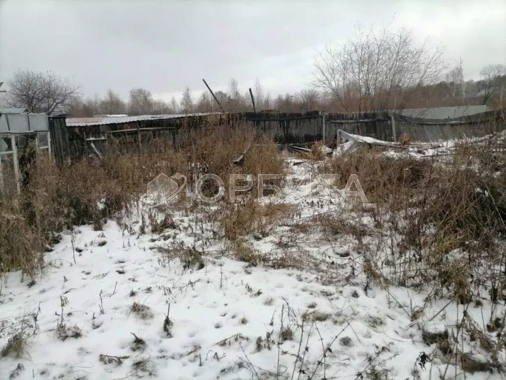 Участок в Тюменская область, Тюменский муниципальный округ, пос. ... - Фото 1