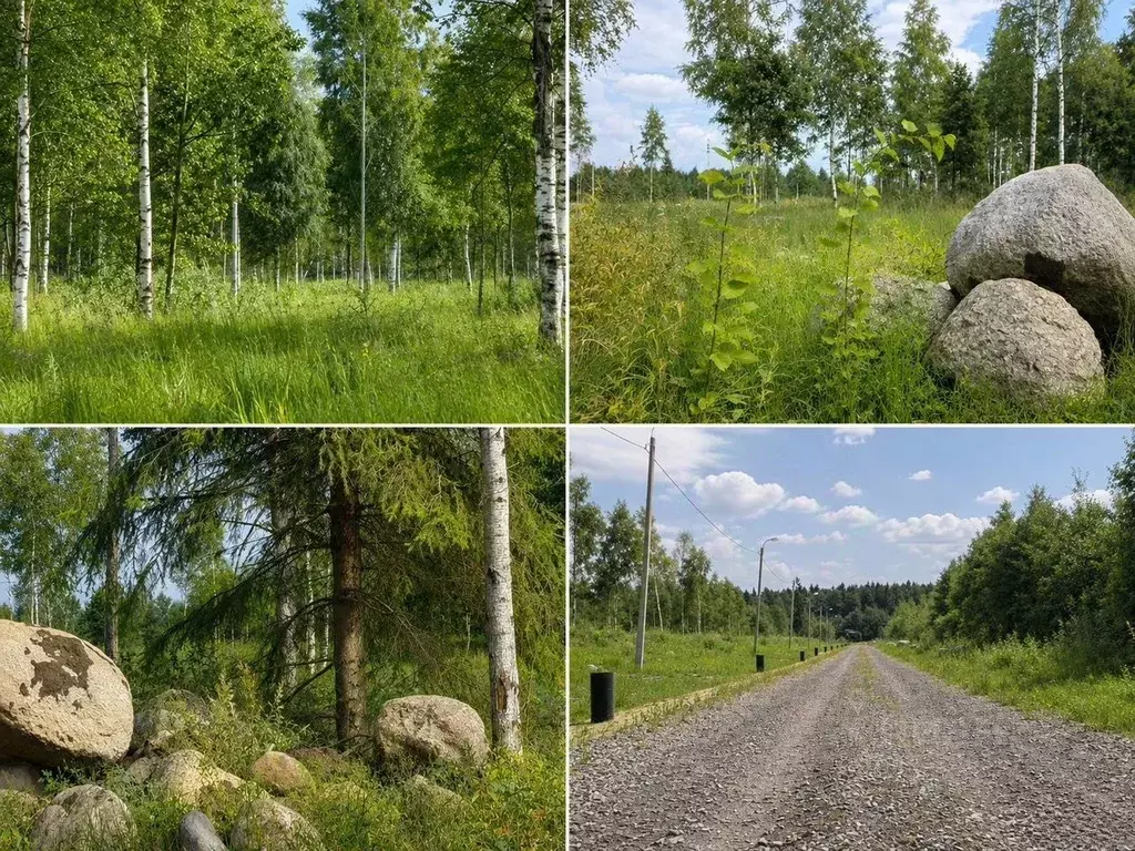 Участок в Ленинградская область, Шлиссельбург Кировский район, ... - Фото 2