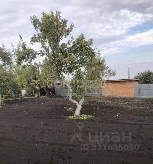 Дом в Тюменская область, Тюмень Сибиряк СНТ, ул. Центральная (12 м) - Фото 1