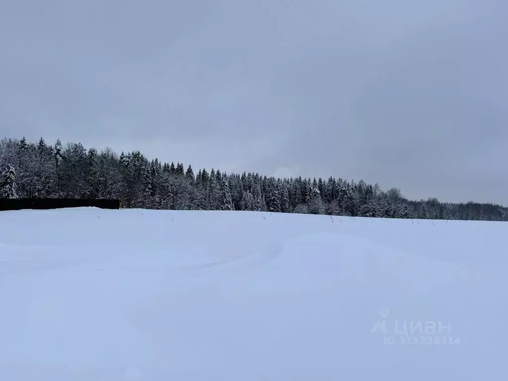 Участок в Кировская область, Киров городской округ, д. Булдаки ул. ... - Фото 1
