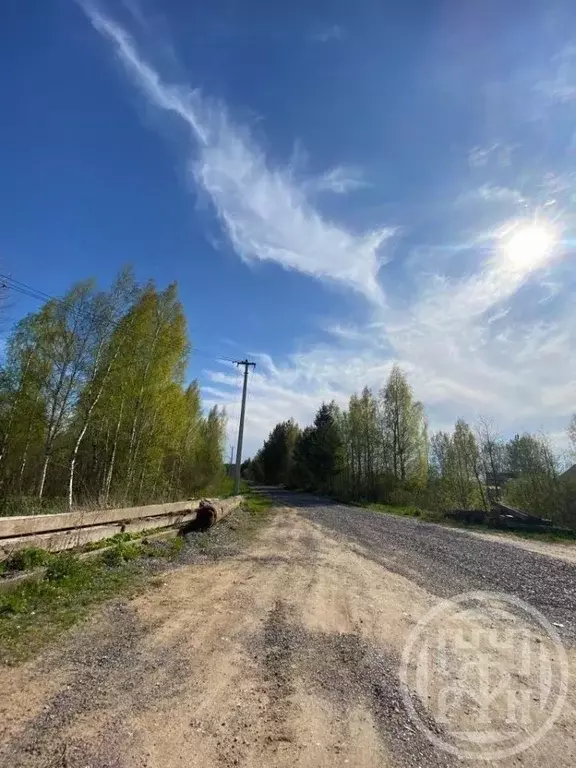 Участок в Ленинградская область, Ломоносовский район, Лебяженское ... - Фото 0
