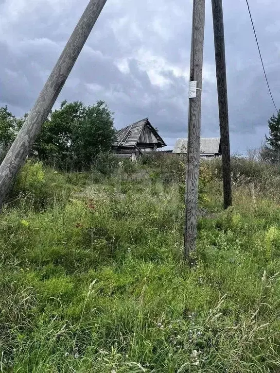 Участок в Вологодская область, д. Охлопково  (25.0 сот.) - Фото 1