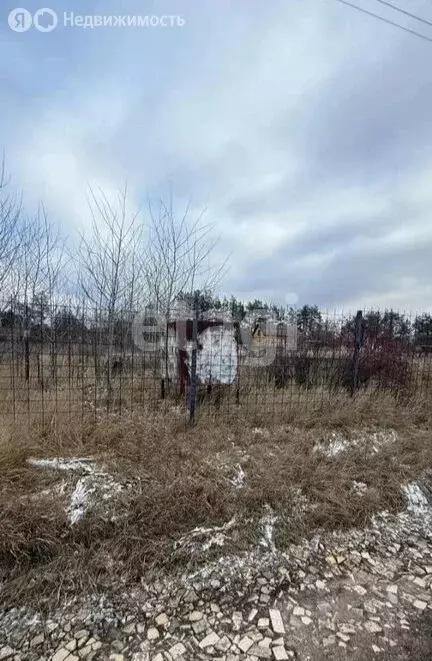 Участок в Рамонский район, Новоживотинновское сельское поселение, СНТ ... - Фото 1