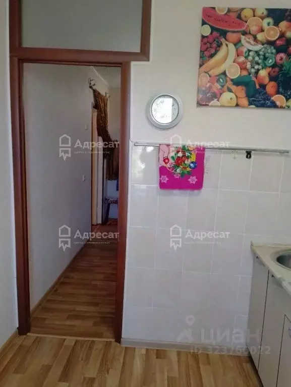 1-к кв. Волгоградская область, Волгоград ул. Маршала Еременко, 108 ... - Фото 2