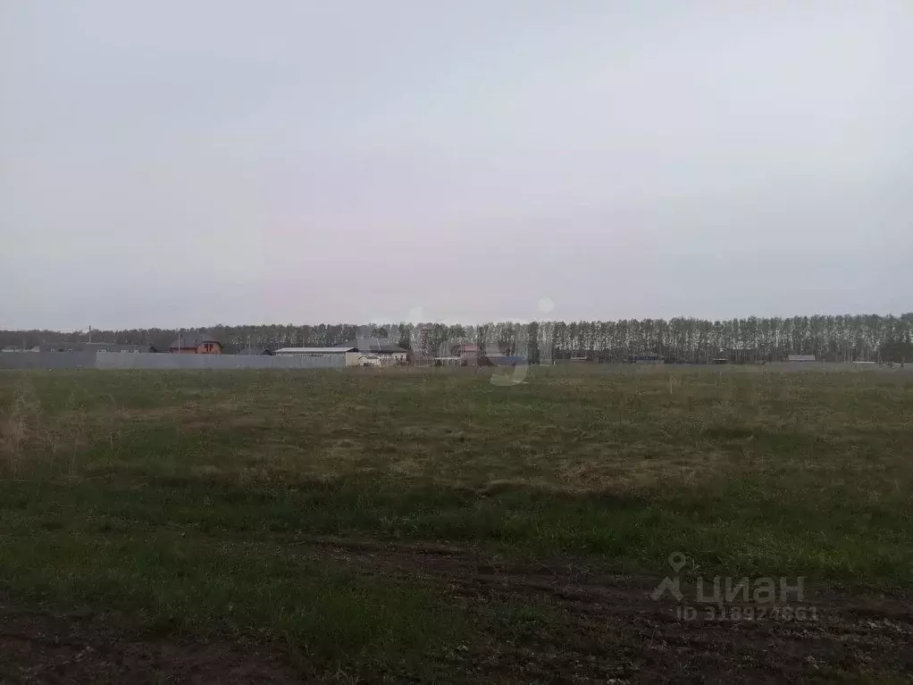 Участок в Омская область, Омский район, с. Усть-Заостровка  (10.0 ... - Фото 0