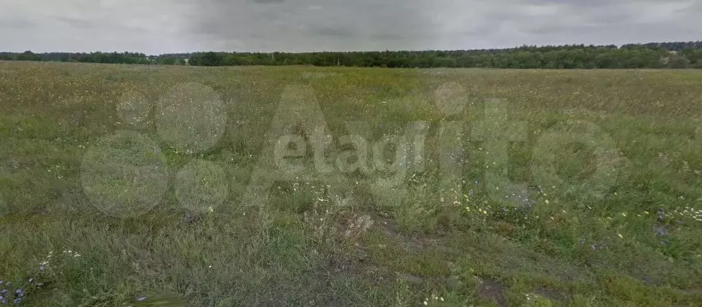 Участок 10 сот. (ИЖС) - Фото 0