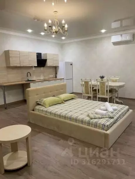 1-к кв. Краснодарский край, Сочи Виноградная ул., 126 (55.0 м) - Фото 0