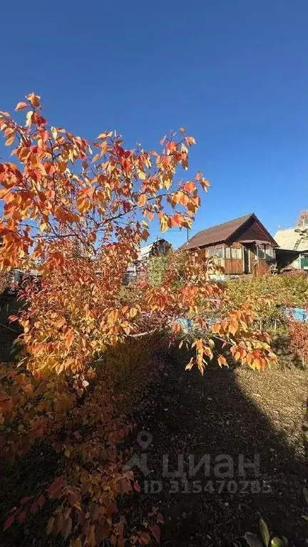 Дом в Иркутская область, Иркутский муниципальный округ, Медик-2 СНТ ... - Фото 2