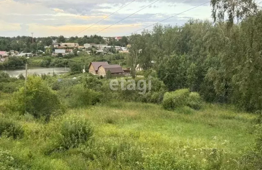 участок в новосибирская область, новосибирский район, с. раздольное . - Фото 0