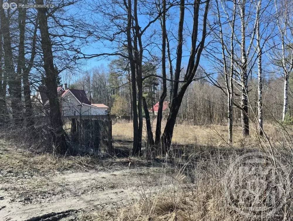 Участок в Сестрорецк, Приморское шоссе, 226 (6 м) - Фото 1