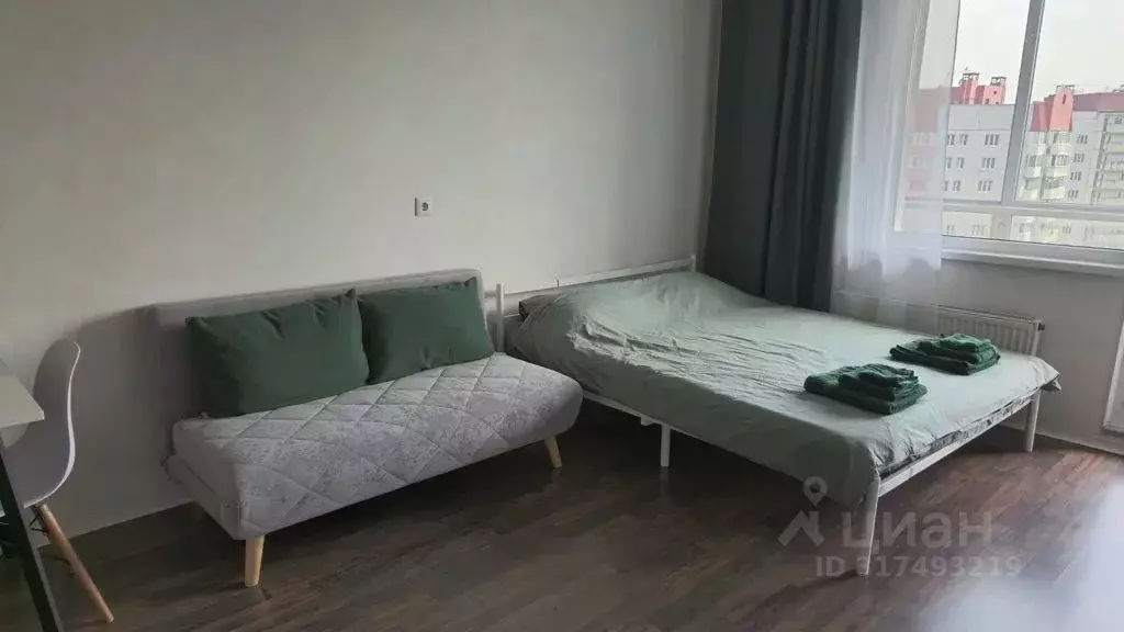 Студия Санкт-Петербург просп. Энтузиастов, 31к3 (26.0 м) - Фото 1
