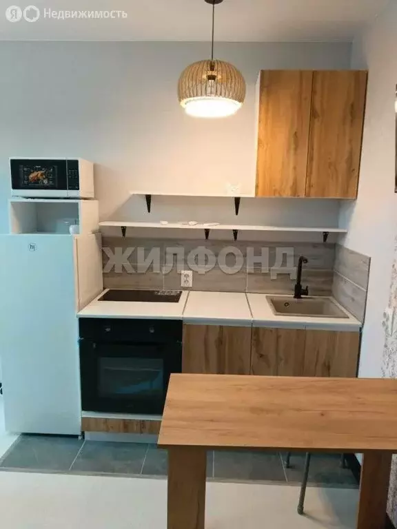 Квартира-студия: Новосибирск, улица Забалуева, 92 (25 м) - Фото 0