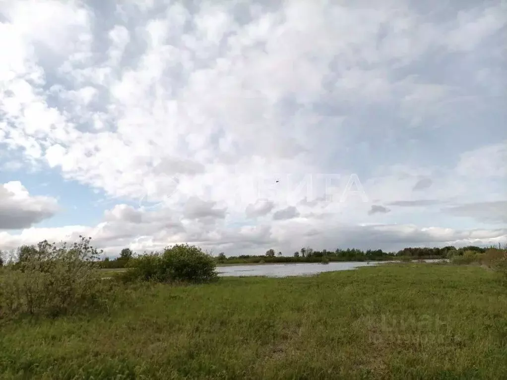 Участок в Тюменская область, Тюменский район, с. Ембаево  (10.2 сот.) - Фото 0