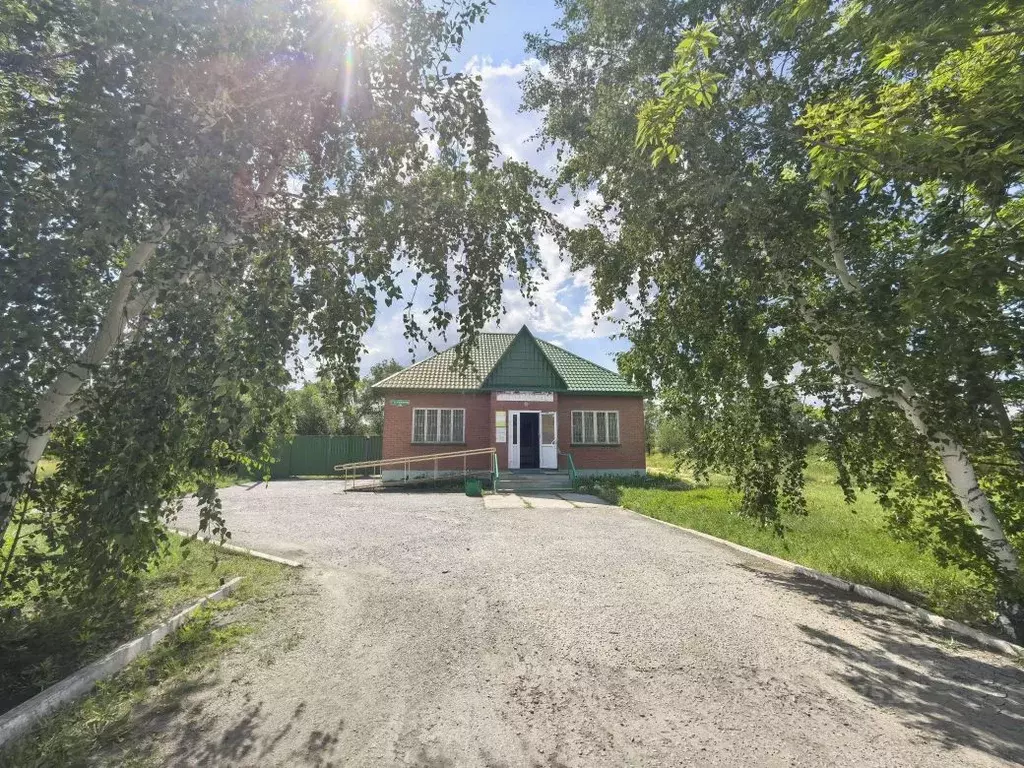 Торговая площадь в Омская область, Русская Поляна рп пер. Ступникова, ... - Фото 2