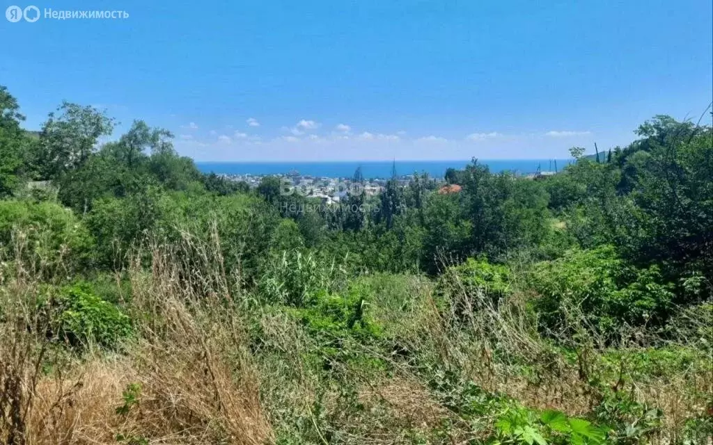 Участок в Феодосия, СПК Труд (6.7 м) - Фото 2