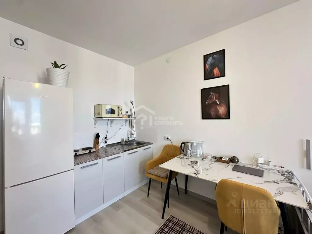 Студия Санкт-Петербург аллея Арцеуловская, 21 (24.4 м) - Фото 1