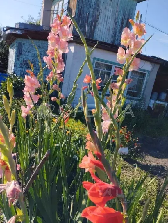 Дом в Тюменская область, Тюменский муниципальный округ, Мичуринец-2 ... - Фото 1