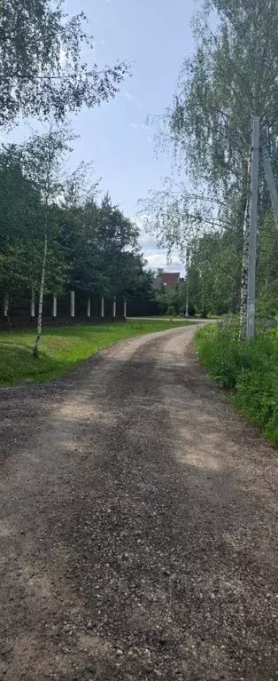 Участок, 130 сот., сельхоз (снт или днп) - Фото 0