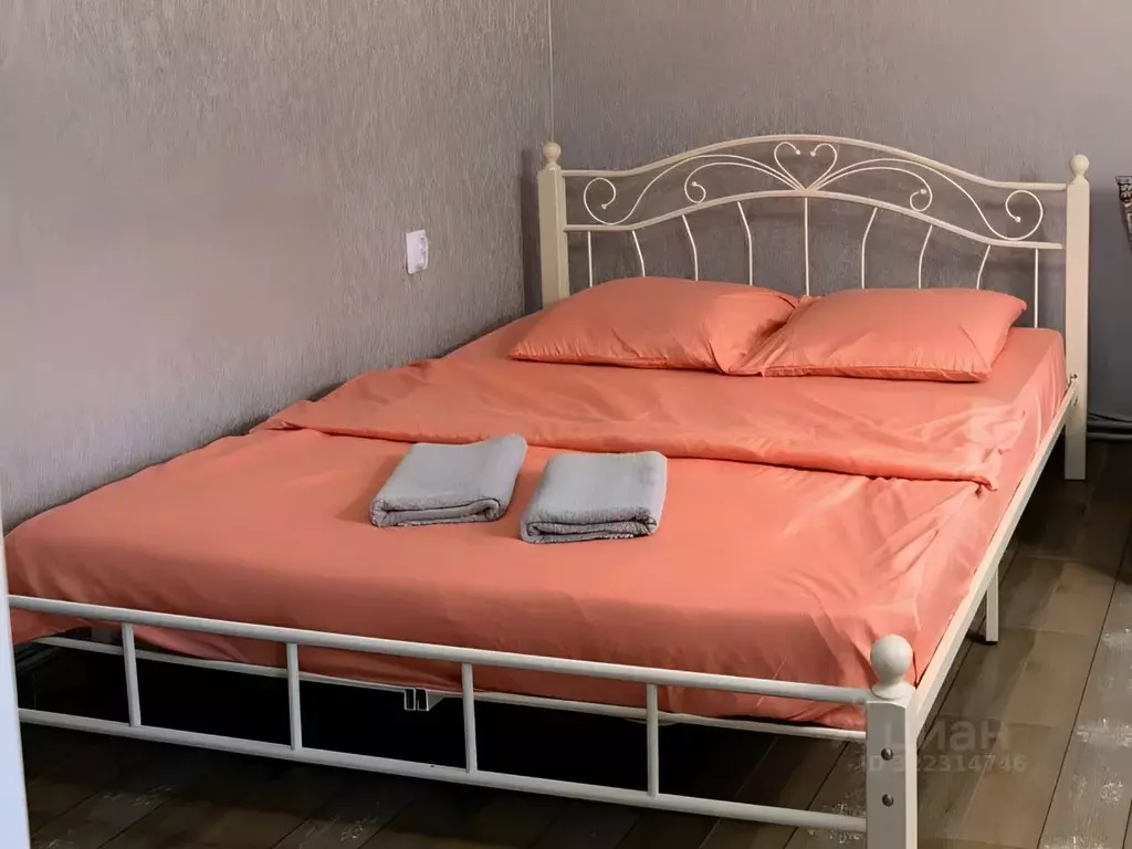 Комната Краснодарский край, Сочи Адлер жилрайон, ул. Чкалова, 10/5А ... - Фото 1