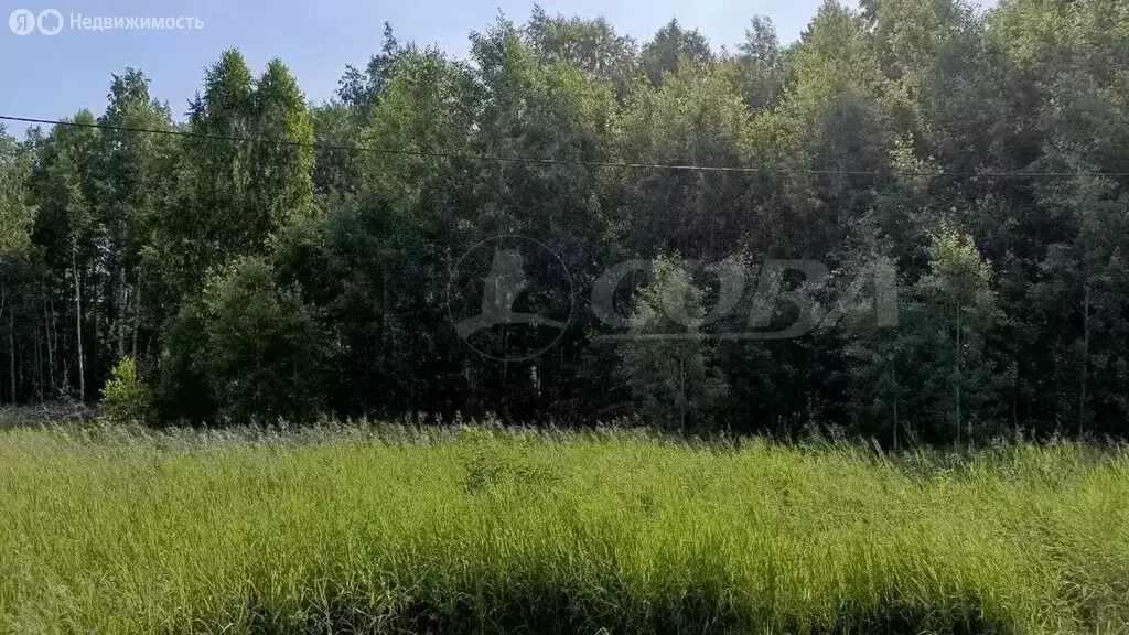 Участок в Нижнетавдинский район, село Тюнево (10 м) - Фото 0