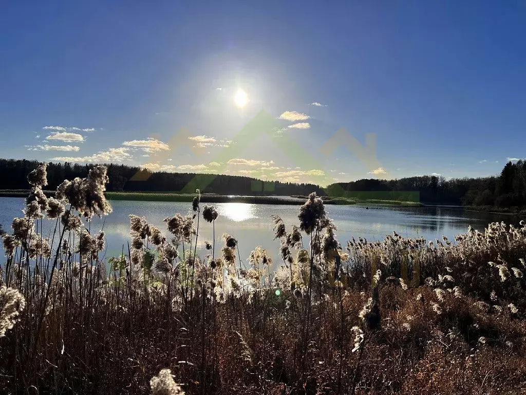 Продается участок в СНТ Рахманово - Фото 1