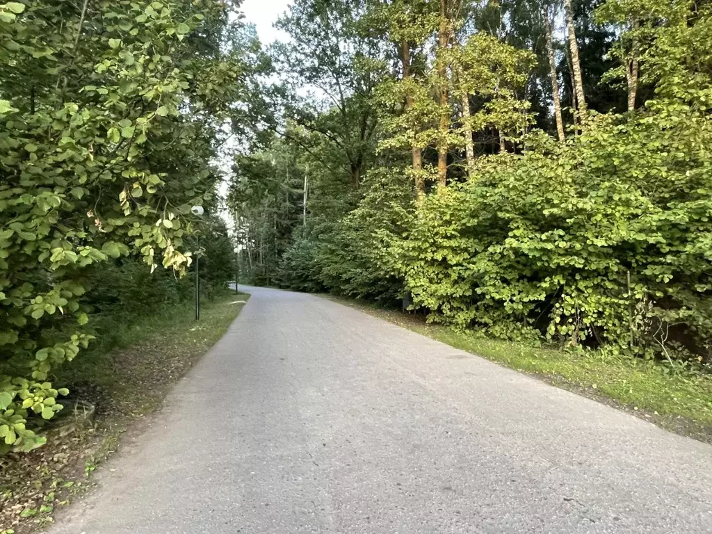 Участок в Московская область, Наро-Фоминский городской округ, ЗАО Нара ... - Фото 2