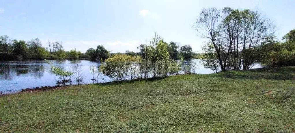Участок в Воронежская область, Рамонский район, Березовское с/пос, д. ... - Фото 1